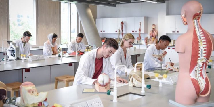 Students in white lab coats studying biology with models