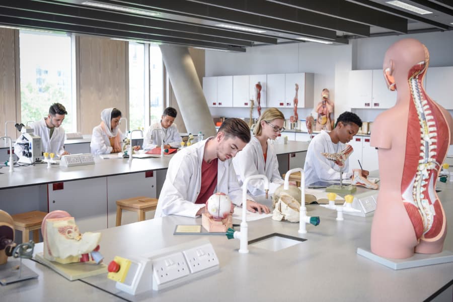 Students in a biology lab class