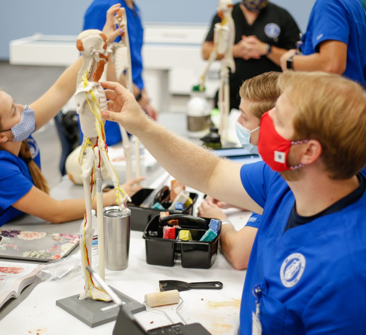 College of Health Sciences students study in the lab. They have earned accreditation.