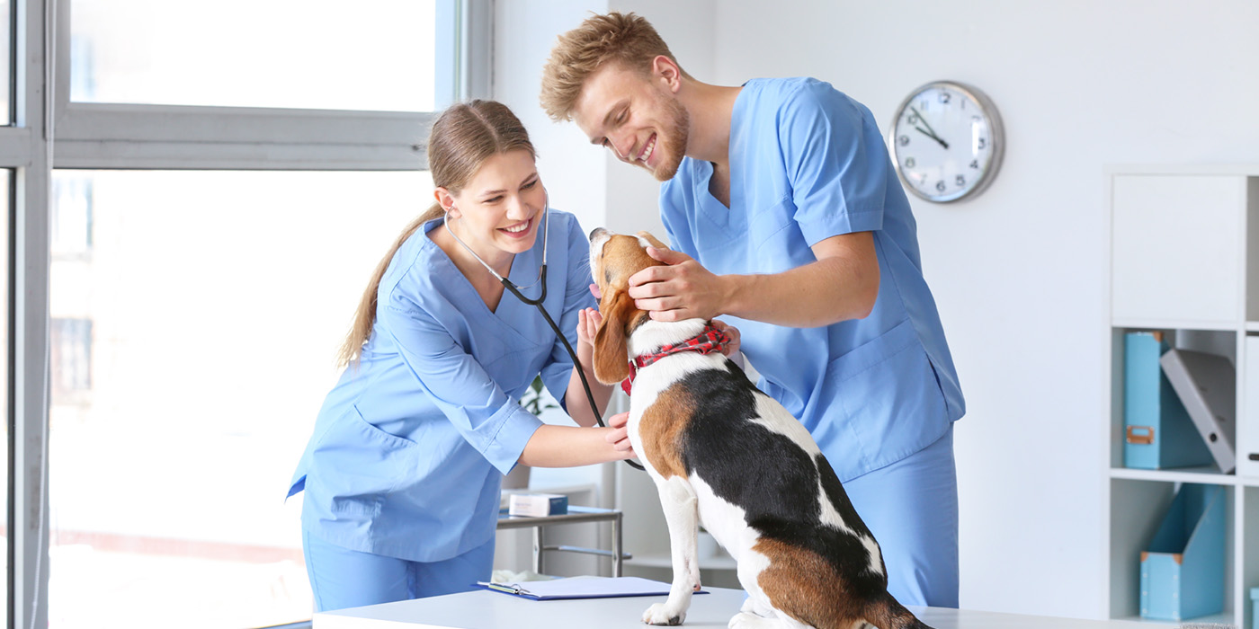 GES118-Veterinary-Assistant_1400x700